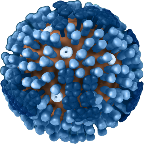 Generic Flu Virus graphic virus