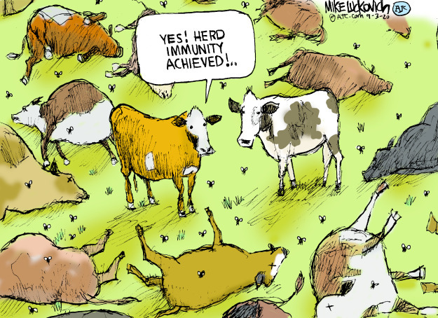 Herd immunity - a gamble
